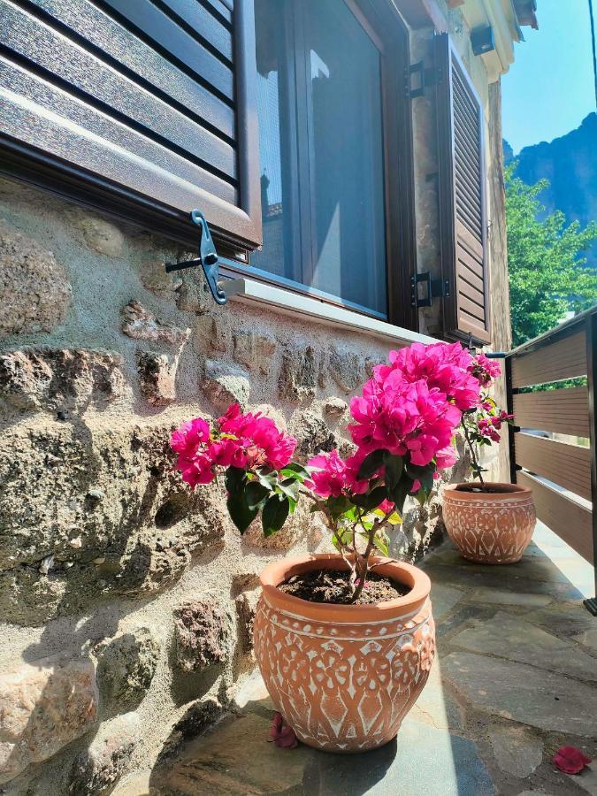 The Stone House Villa Kalampáka Ngoại thất bức ảnh
